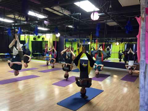 Hurley lab members doing aerial yoga